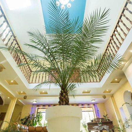 Villa Fenix بيرهوف المظهر الخارجي الصورة