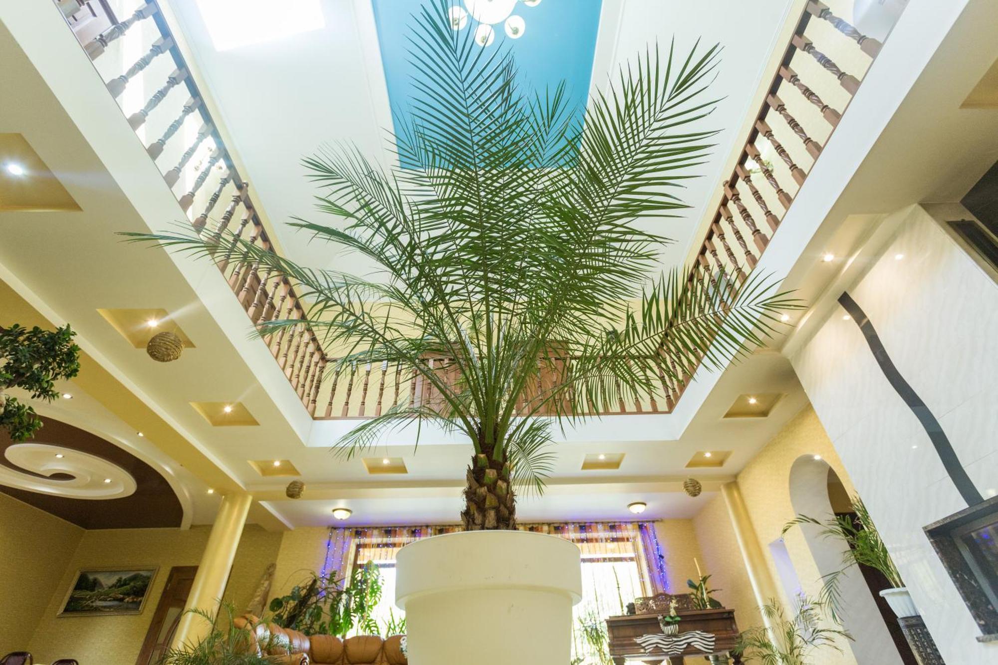 Villa Fenix بيرهوف المظهر الخارجي الصورة