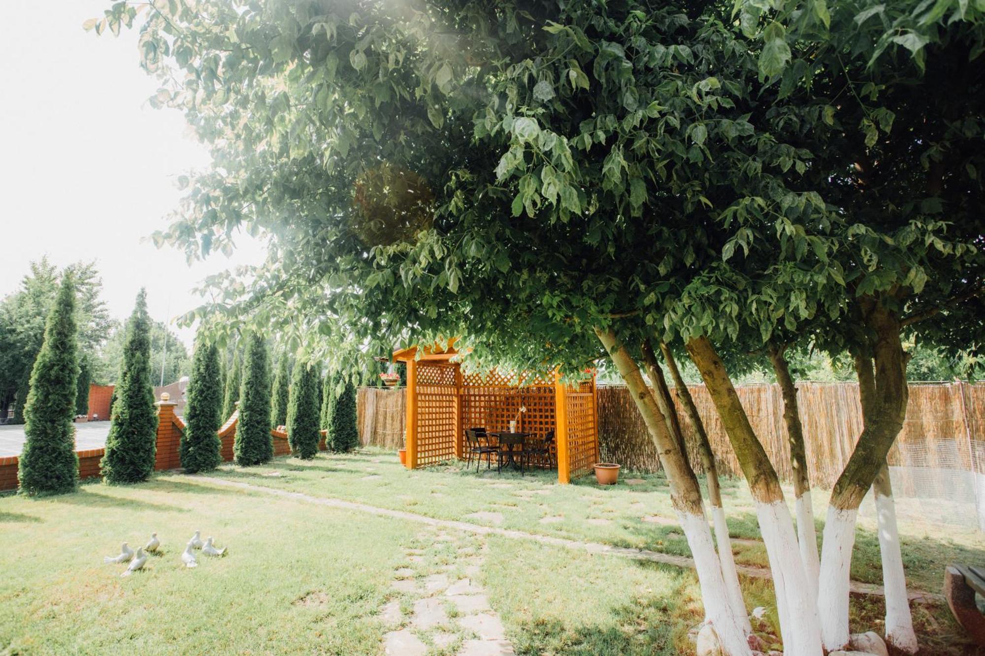 Villa Fenix بيرهوف المظهر الخارجي الصورة