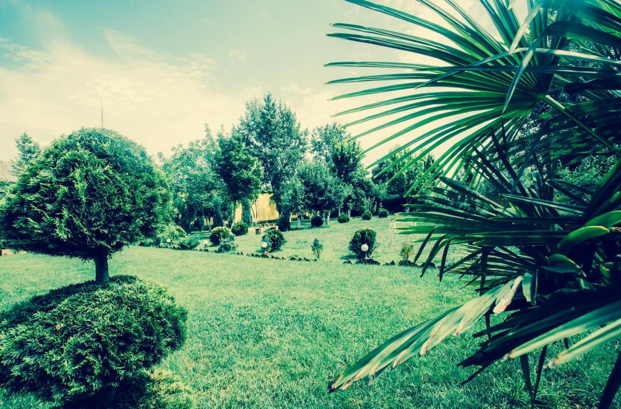 Villa Fenix بيرهوف المظهر الخارجي الصورة