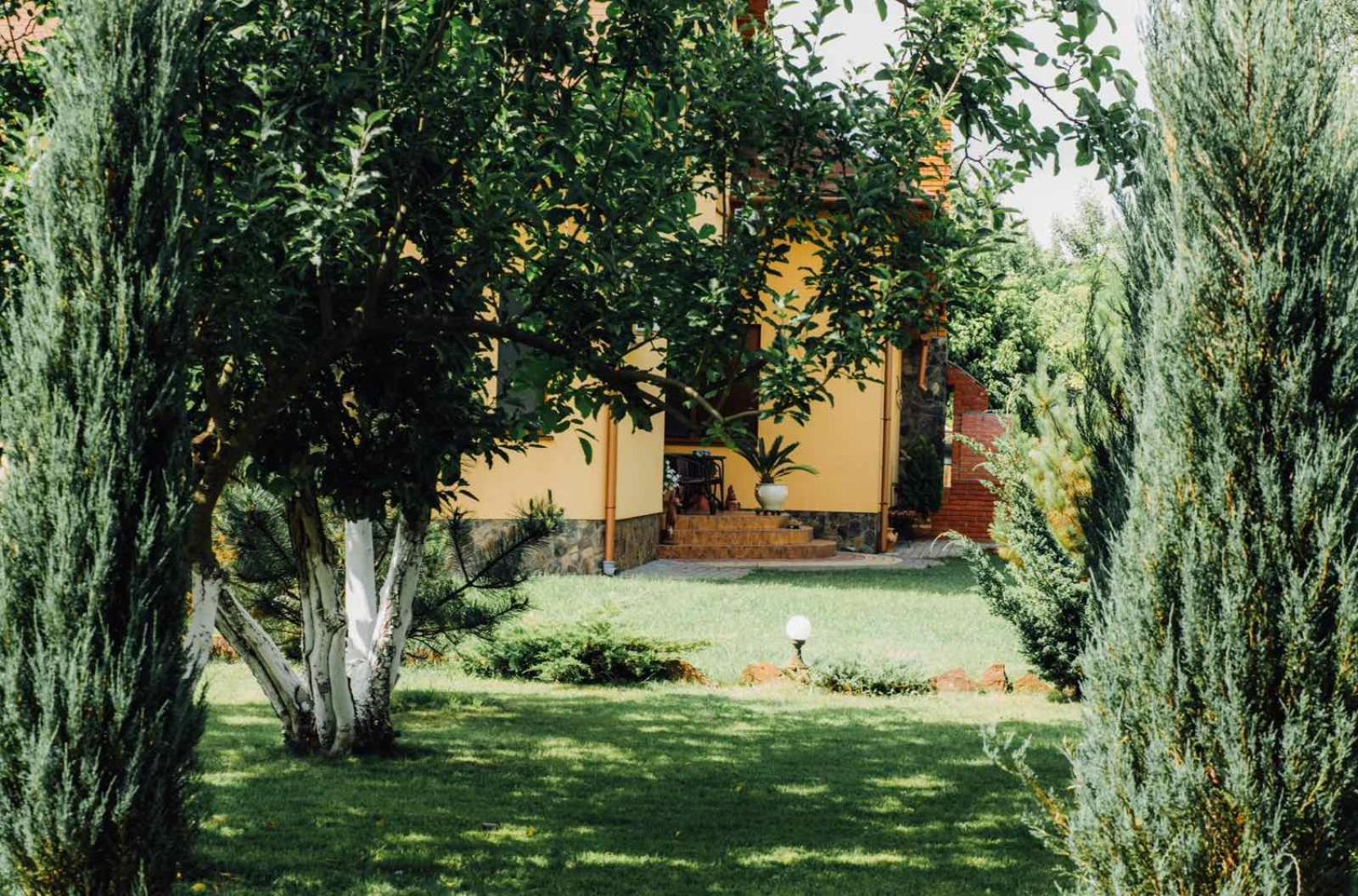 Villa Fenix بيرهوف المظهر الخارجي الصورة